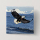 Search for predator badges Patriotic