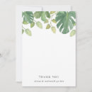 Search for tropical plants cards Monstera