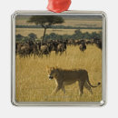 Search for kenya christmas tree decorations Wildlife