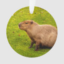 Search for rodent christmas tree decorations Brown
