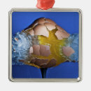 Search for bullet christmas tree decorations Ammunition