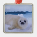 Search for arctic christmas tree decorations Fauna