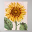 Search for happy sunflowers posters Nature