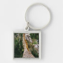 Search for giraffe image key rings Nature