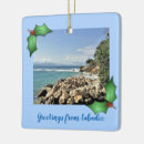 Search for haiti christmas tree decorations Caribbean