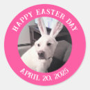 Search for easter dog stickers Rabbit