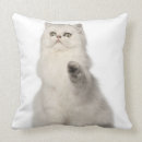 Search for cat sitting cushions Feline