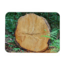 Search for logging magnets Wood