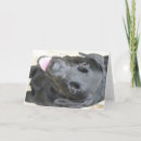 Search for dogs halloween cards Labrador