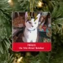 Search for hamster christmas tree decorations Cat