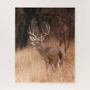 Search for danita delimont puzzles Antlers