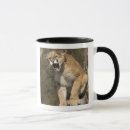 Search for mountain lion mugs Big cat