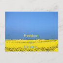 Search for spruch postcards Frieden