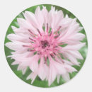 Search for bachelors stickers Floral