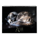 Search for funny animal calendars Cats