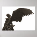 Search for new age posters Angel