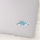 Search for armadillo Wildlife