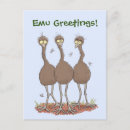 Search for emu postcards Wildlife