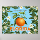 Search for florida orange blossom Modern