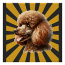 Search for standard poodle art Wolf