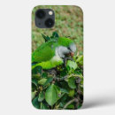 Search for green parrot iphone cases Bird