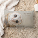 Search for barn owl cushions Animals