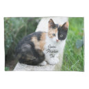 Search for hilarious pillowcases Humor