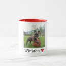 Search for french bulldogs mugs For pets