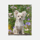 Search for chihuahua blankets Funny