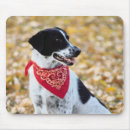 Search for scarf mousepads Dog