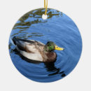 Search for duck christmas tree decorations Water