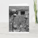 Search for artichoke cards Flower