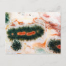 Search for stone pattern postcards Rock