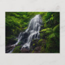 Search for fall fairy postcards Forest
