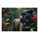 Search for jaguar panther posters Tropical