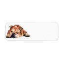 Search for english bulldog return address labels Bulldogs
