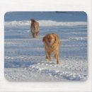 Search for run mousepads Snow