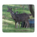 Search for deer cookware Nature