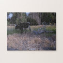 Search for longhorn puzzles Cattle