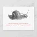 Search for dissent postcards Politics