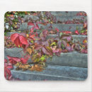 Search for autumn mousepads Leaves