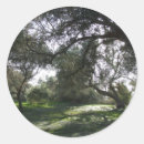 Search for grove stickers Outdoors