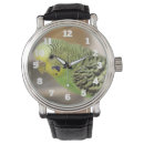 Search for kiwi watches Yellow