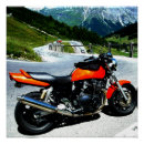 Search for mountain bike art Nature