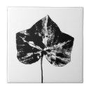Search for ivy leaf tiles Leaves