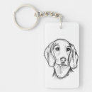 Search for dachshunds key rings Animal