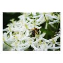 Search for fall flower art White