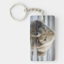 Search for wild one key rings Animals in the wild