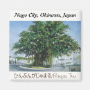 Search for japan magnets Okinawa