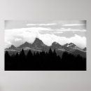 Search for mountain forest posters Wyoming